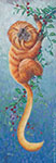 Golden lion tamarin - Animal Paintings